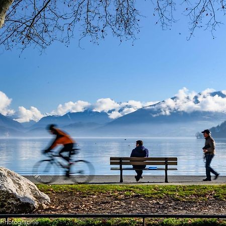 Les Mouettes Du Lac N2 - Grand Studio 500 M From Lake Annecy Exterior foto