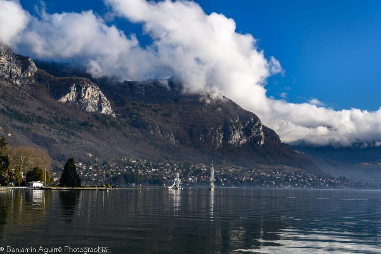 Les Mouettes Du Lac N2 - Grand Studio 500 M From Lake Annecy Exterior foto